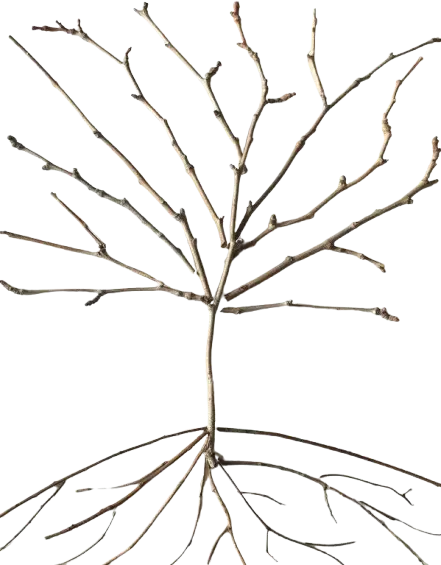 œuvre unique en bois flottés